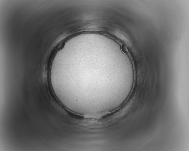 X0000093441450200711091445