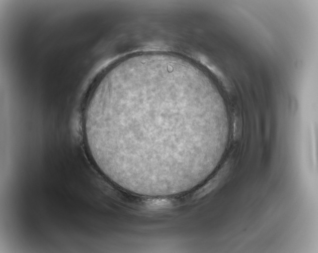 X0000093441454200711091445