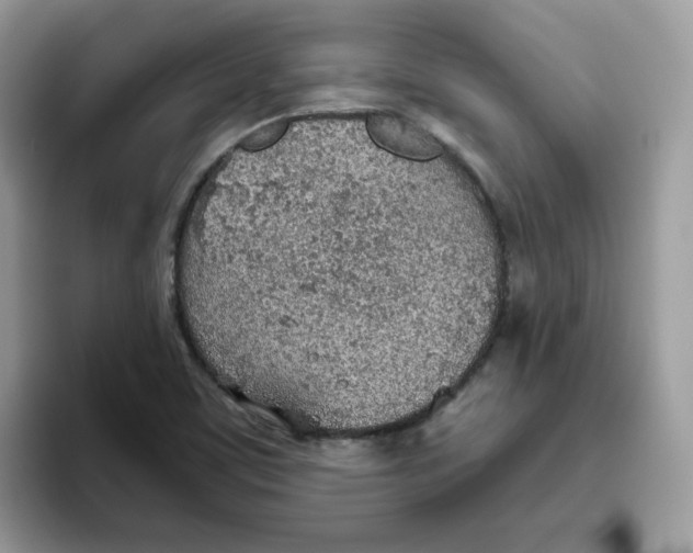 X0000093441459200711091445