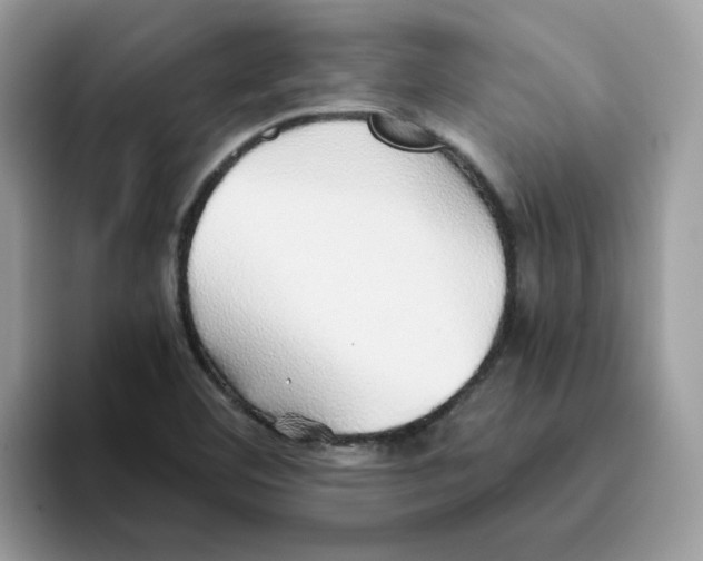 X0000093441460200711091445