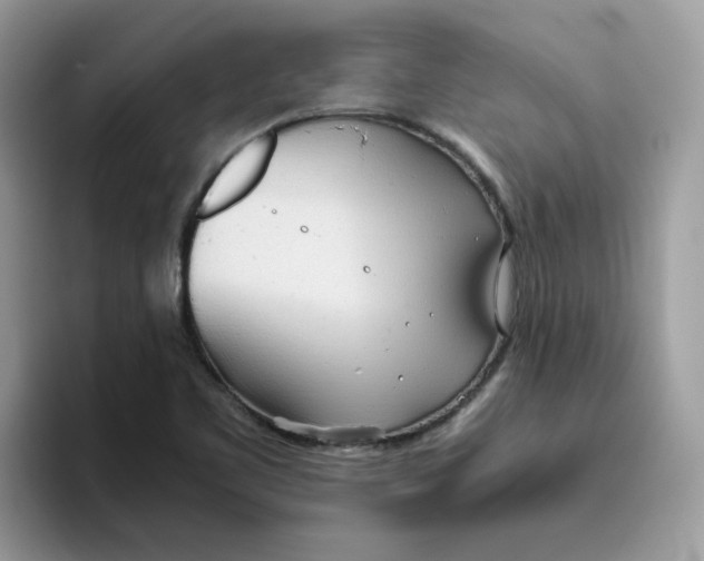 X0000093441461200711091445