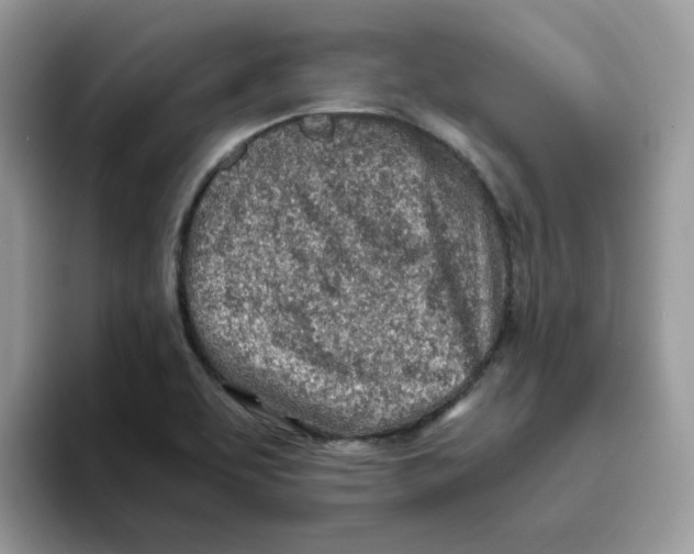 X0000093441463200711091445