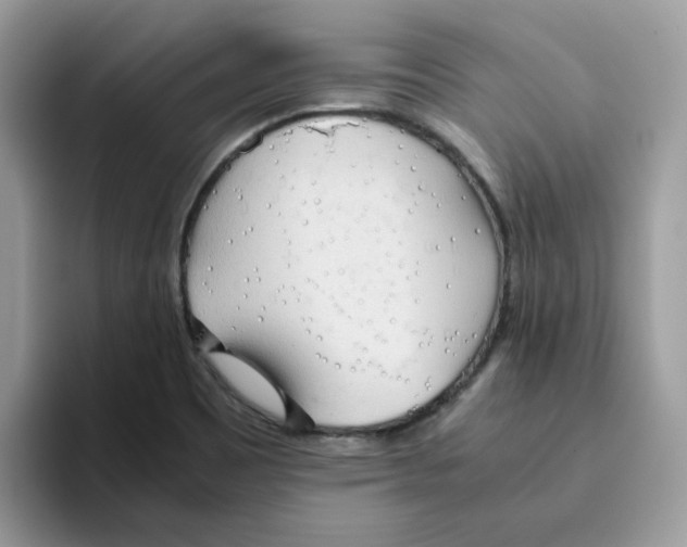 X0000093441465200711091445