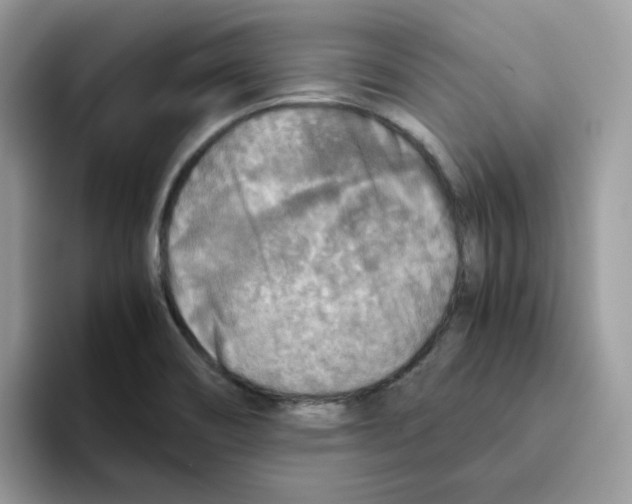 X0000093441466200711091445