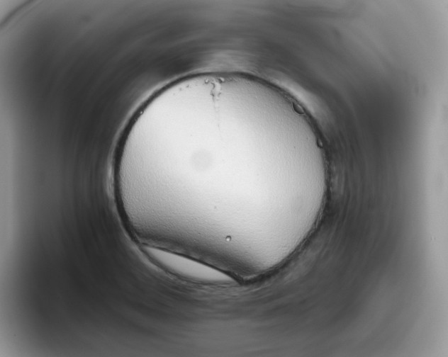 X0000093441468200711091445