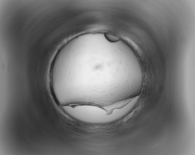 X0000093441471200711091445