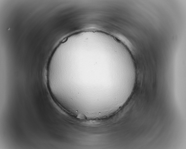 X0000093441476200711091445