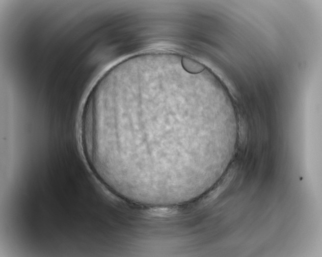 X0000093441478200711091445