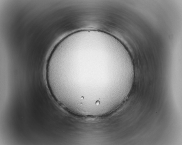 X0000093441480200711091445