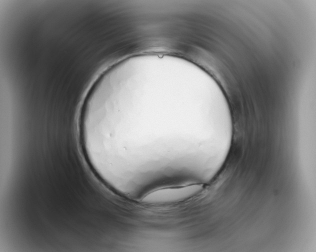 X0000093441483200711091445