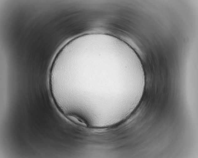 X0000093441484200711091445