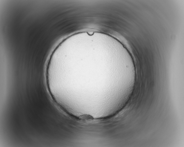 X0000093441488200711091445