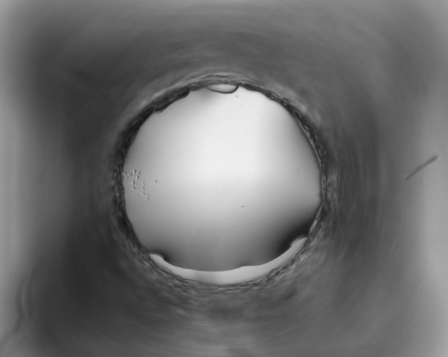 X0000093441496200711091444