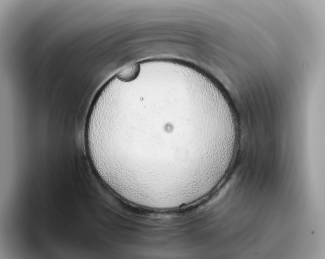 X0000093441513200711091444