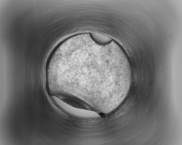 X0000093441515200711091444