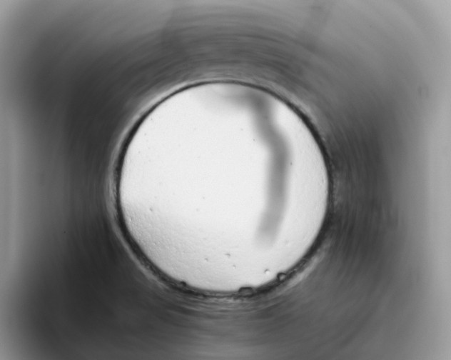 X0000093441517200711091444