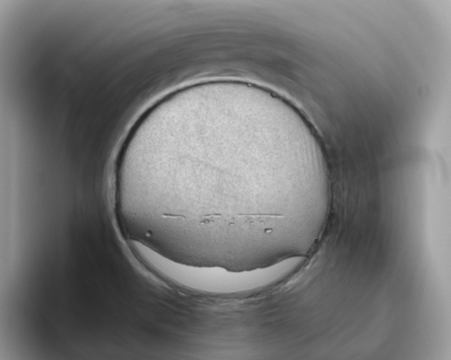 X0000093441519200711091444