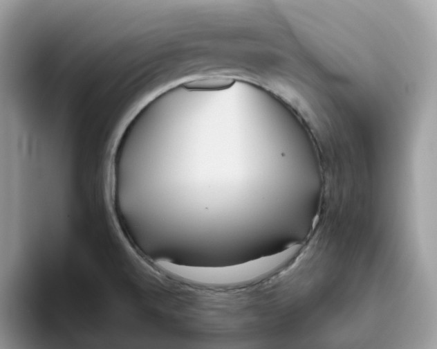 X0000093441520200711091444