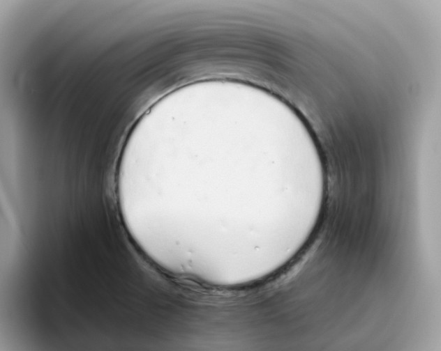 X0000093441521200711091444