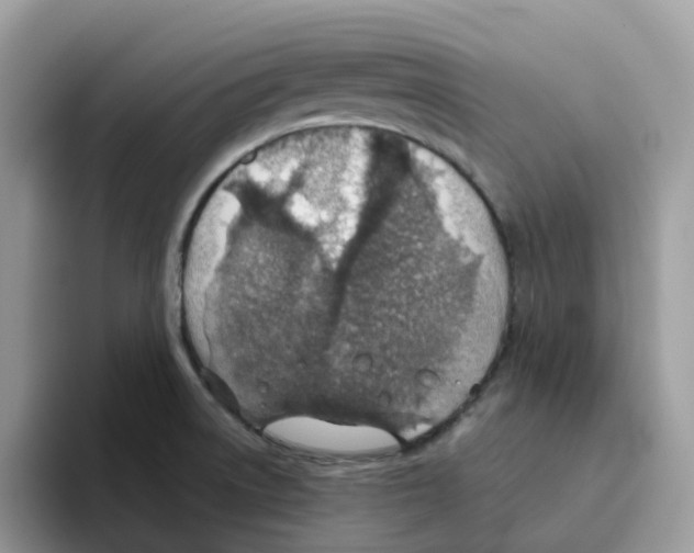 X0000093441522200711091444