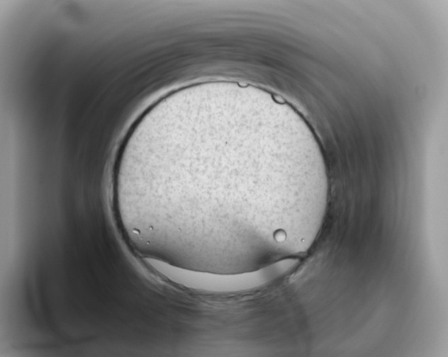 X0000093441523200711091445