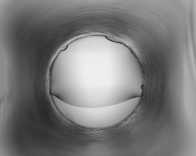 X0000093441524200711091445