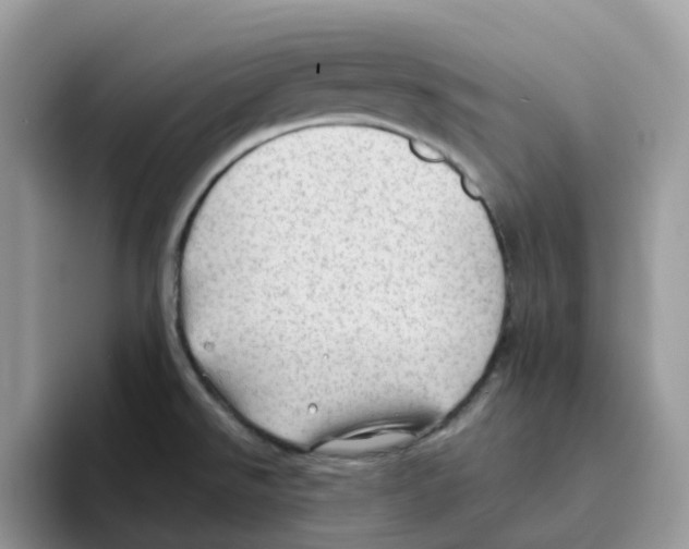 X0000093441526200711091445