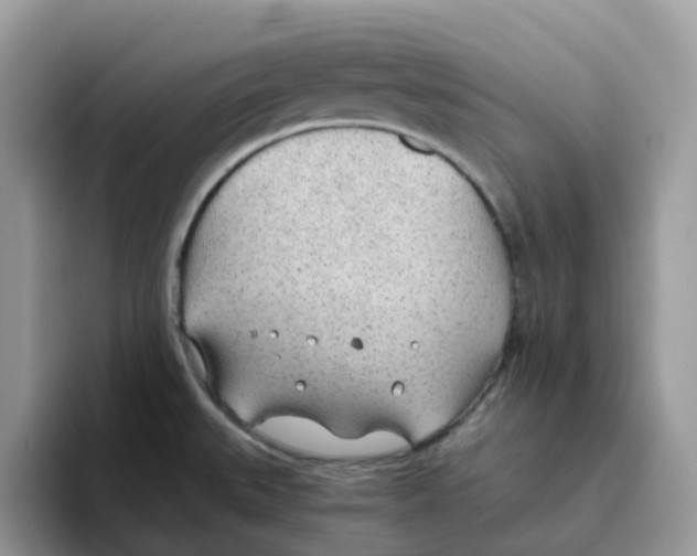 X0000093441527200711091445