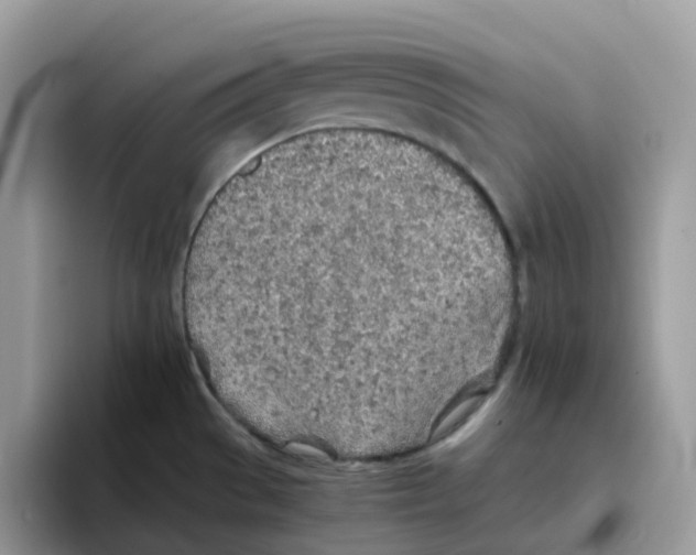 X0000093441529200711091445