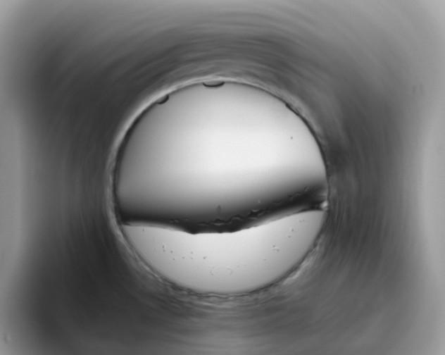 X0000093441530200711091445