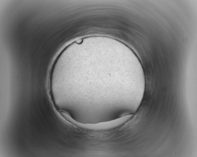 X0000093441531200711091445