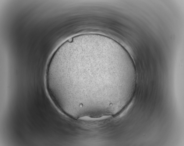 X0000093441533200711091445