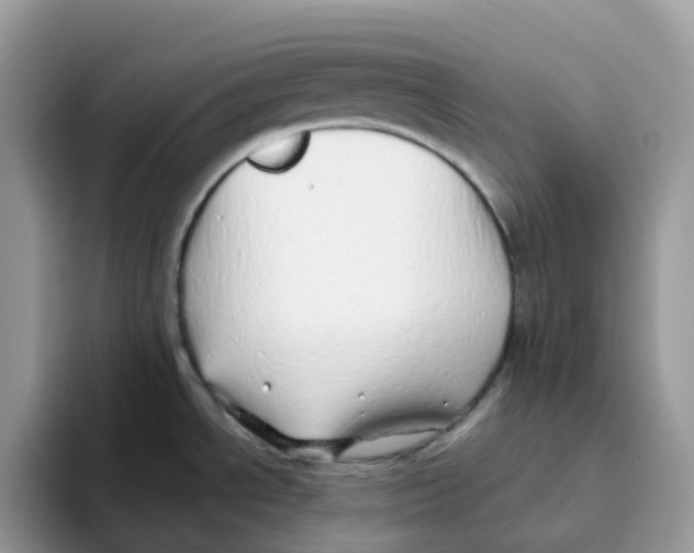 X0000093441534200711091445