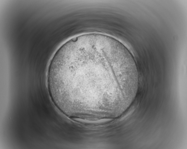 X0000093441535200711091445