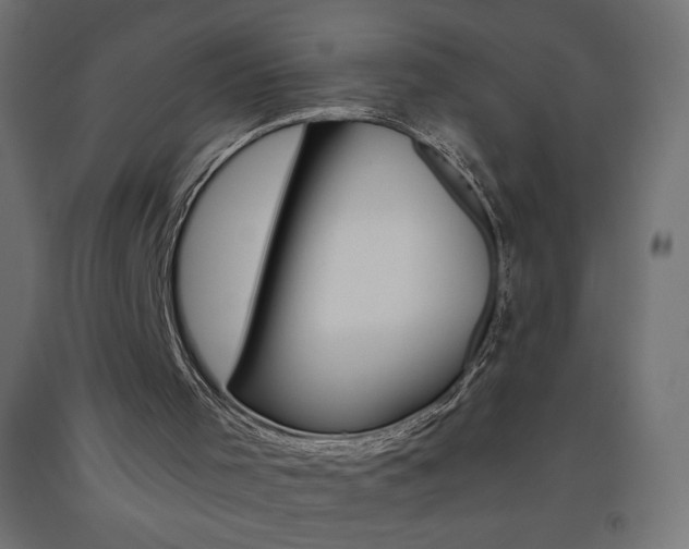 X0000093450001200710121015