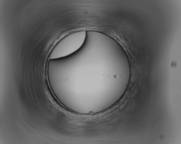 X0000093450002200710121015