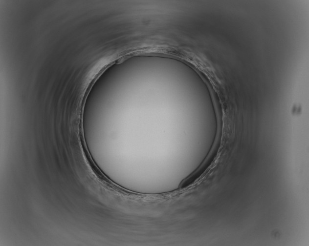 X0000093450003200710121015