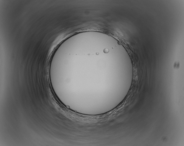 X0000093450004200710121015