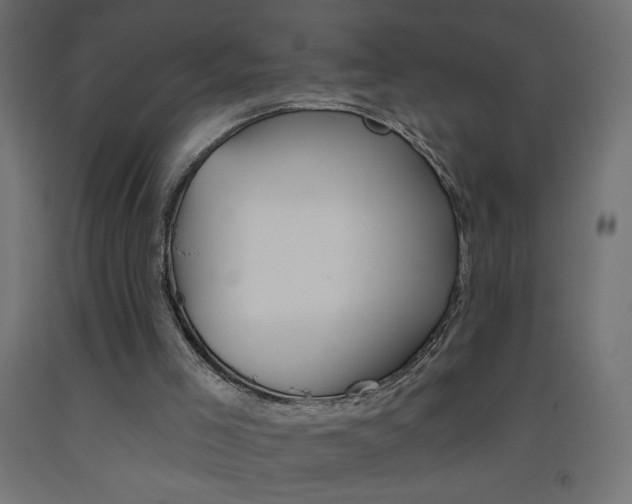 X0000093450005200710121015