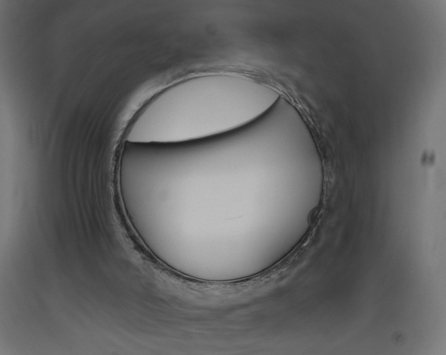 X0000093450006200710121015