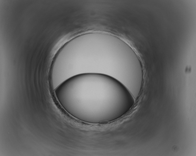 X0000093450007200710121015
