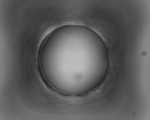 X0000093450008200710121015