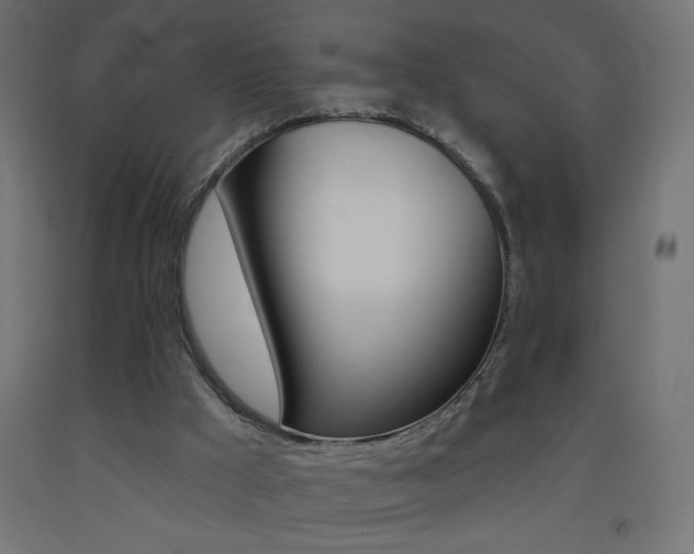 X0000093450009200710121015