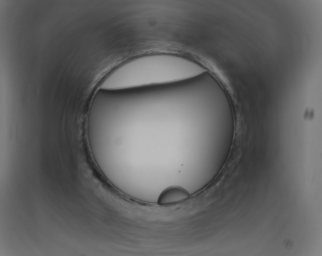 X0000093450010200710121015