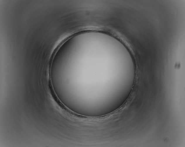 X0000093450011200710121015