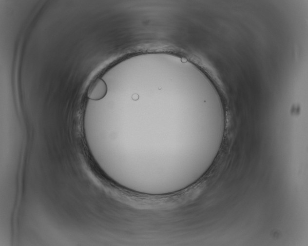 X0000093450012200710121015