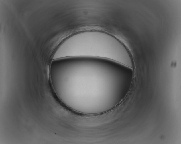 X0000093450013200710121015