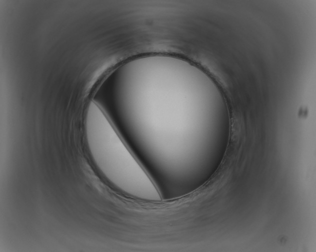X0000093450015200710121015