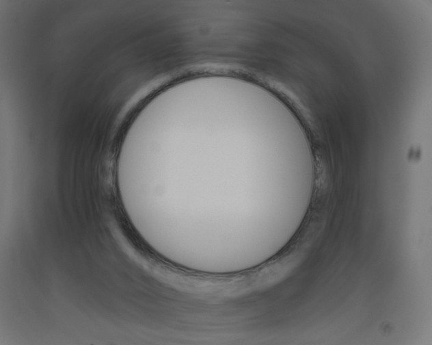 X0000093450016200710121015