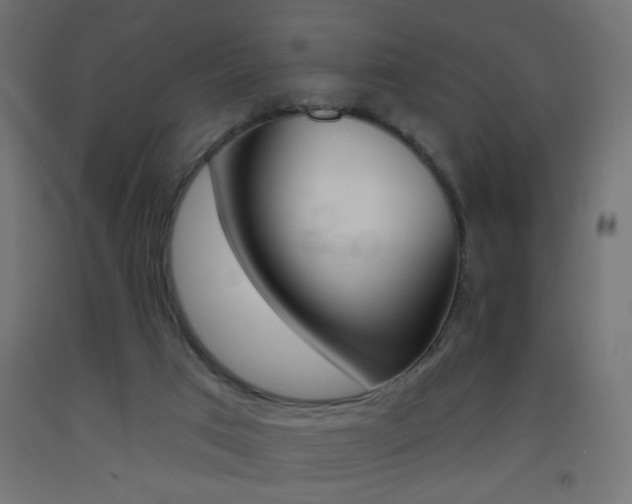 X0000093450017200710121015